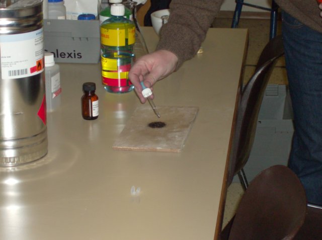 photo11.jpg