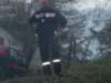 bild028_small.jpg